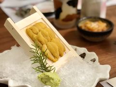 海胆-熹炭精致日料(金融街购物中心店)