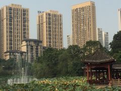 -龙头寺公园