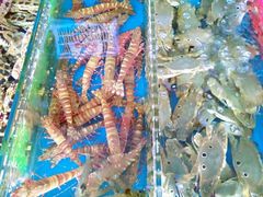 -清水湾3号(东方小周海鲜店)