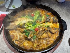 -老板恋上鱼(恒隆广场店)