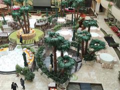 -铂丽斯国际大酒店-凯悦自助餐厅