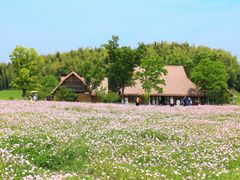 -良渚古城遗址公园