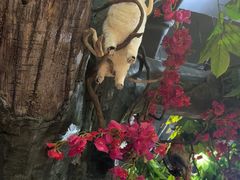 -草原塞蛮羊火锅城(港湾店)