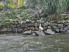 -千岛湖王子谷漂流