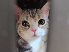 -宠福鑫康馨动物医院·骨科·眼科