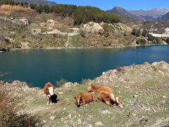 -硗碛藏寨·神木垒景区