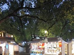 -印象西湖·最忆是杭州实景演出
