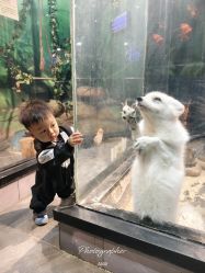 -未来动物城主题公园(正弘城店)