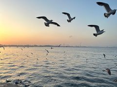 -大连海昌东方水城