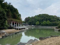 -广州市帽峰山景区