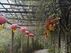 -井塘古村