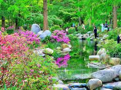 -上海共青森林公园