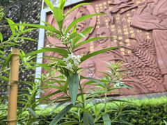 -广州神农草堂中医药博物馆