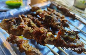 Grilled Lamb Skewers with Garlic