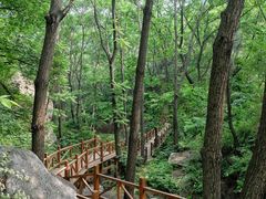-大岭沟猕猴桃谷风景区