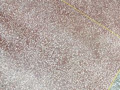 -集杰尚品海鲜烤肉自助餐厅(乳山振华店)