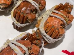 -杨氏青龙虾·羊蝎子(金盛路总店)