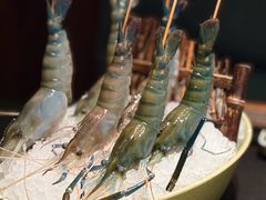-大龙燚·旷野鲜火锅(广州首店)