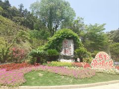 -广州白江湖森林公园