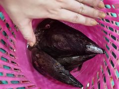 -八方海味餐厅