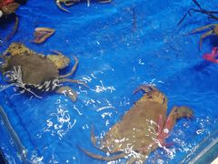 -姜君·千岛湖鱼头馆(浦东大道店)