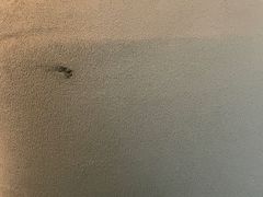 -三亚中亚国际大酒店