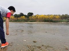-蓝记云吞(正果店)