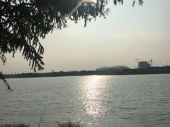 -贡湖湾湿地公园
