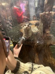 点击看大图 -Zoolung Zoolung动物主题公园(海信广场店)