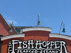 -Fish Hopper