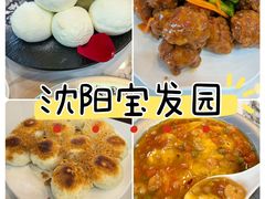 -宝发园名菜馆