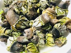 佛手螺-胖大嫂渔家排档·全海景餐厅(渔村店)