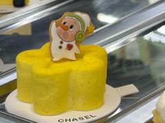 -夏佐CHASEL(横店康庄路店)