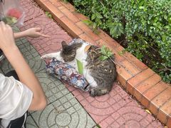 -广东外语外贸大学(白云山校区)