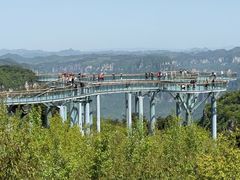 -王莽岭风景区