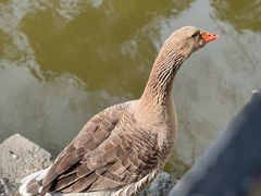 -阿育王寺