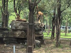 -秦皇岛野生动物园