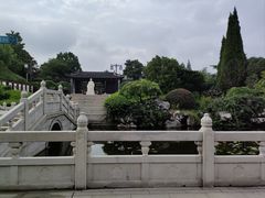 -梅园