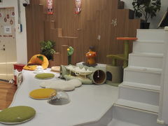 -COLOR PETS 撸猫馆·购猫·猫咖(长风大悦城店)