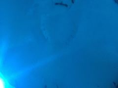 -芜湖新华联大白鲸海洋公园