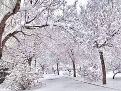 -仙居谷风景区