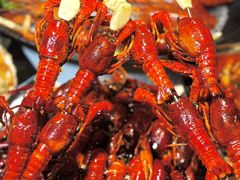 -钳小柒·小龙虾蓝龙王烧烤夜宵(长寿路店)