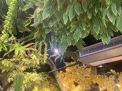 -城墙拐拐火锅(三峡广场黑金冠店)