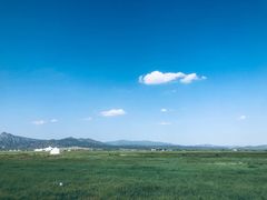 -敕勒川草原