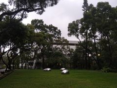 -大埔公路-马料水段香港中文大学(公交站)