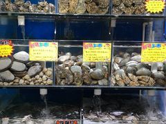 -蚝专家(北滘店)