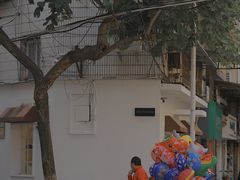-溪岸路花鸟市场