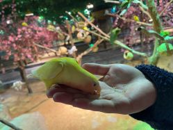 -酷嗒动物文化乐园(cutezoo西溪乐天城店)