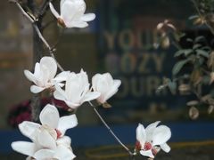 -锦江之星(广州海珠江泰路地铁站店)