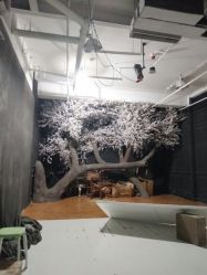 -THE QUEEN(北京店)